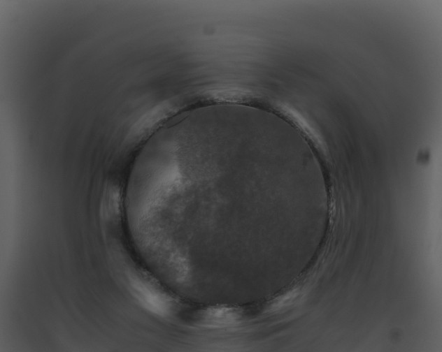 X0000093460117200710191132