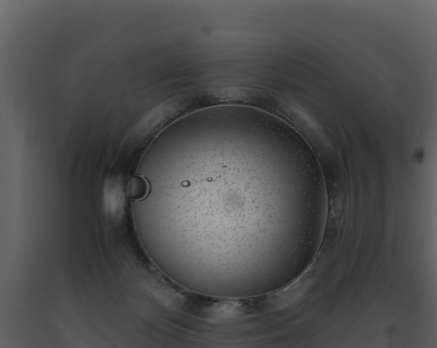 X0000093460124200710191132