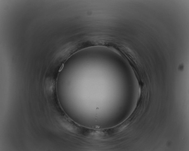 X0000093460125200710191132