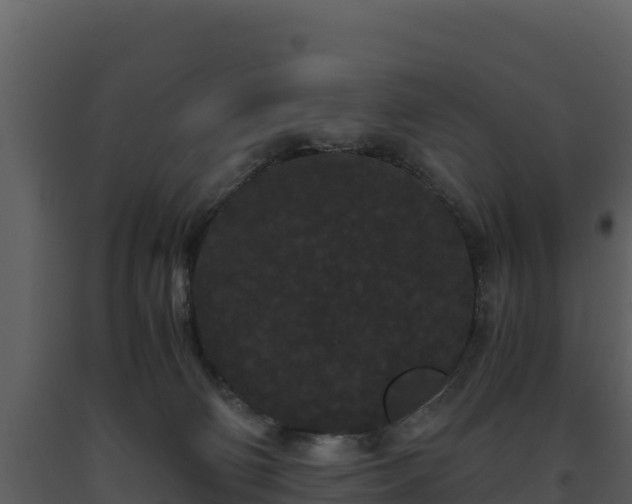 X0000093460130200710191132