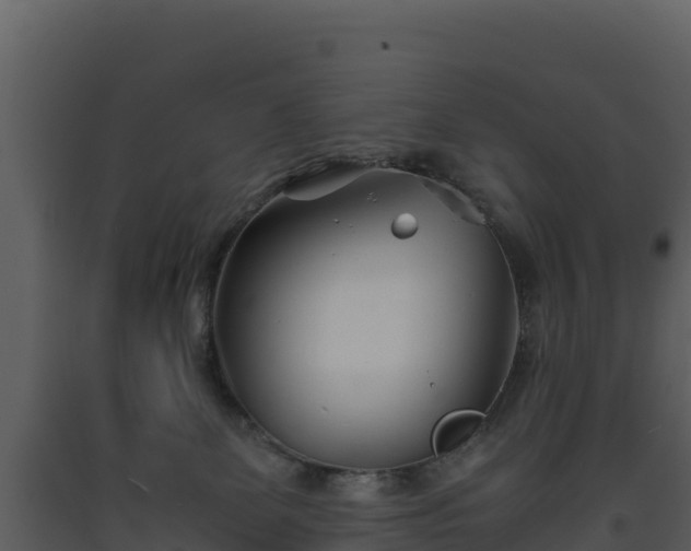 X0000093460131200710191132