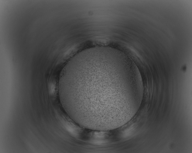 X0000093460134200710191132