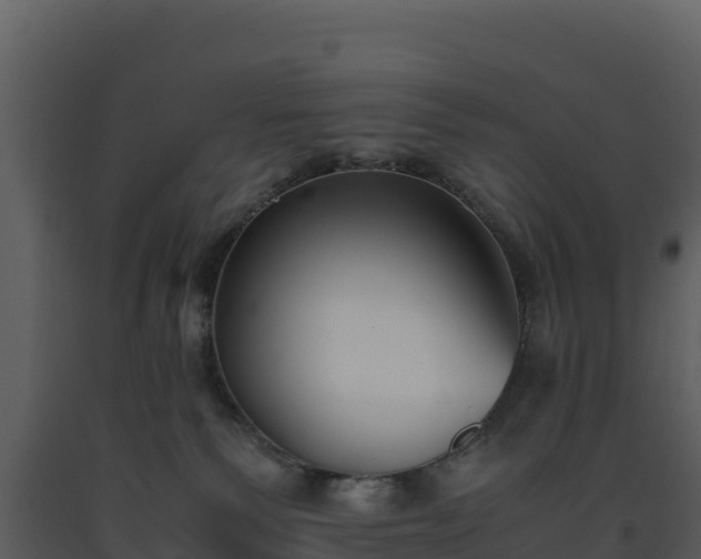 X0000093460135200710191132