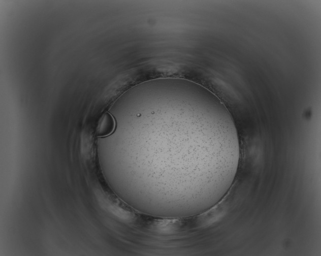 X0000093460136200710191132