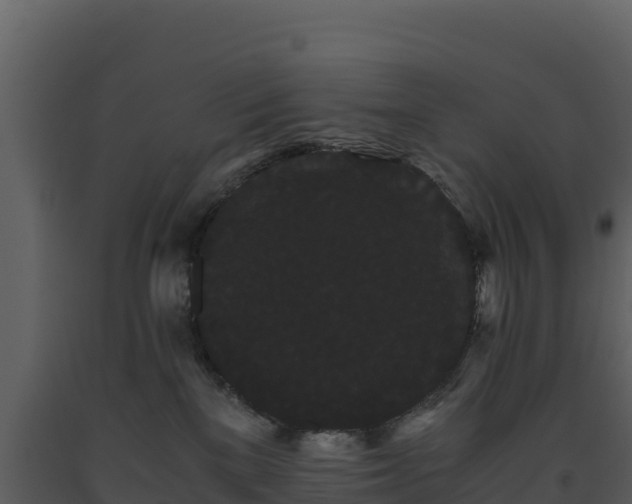 X0000093460137200710191132