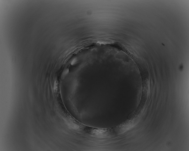 X0000093460139200710191131