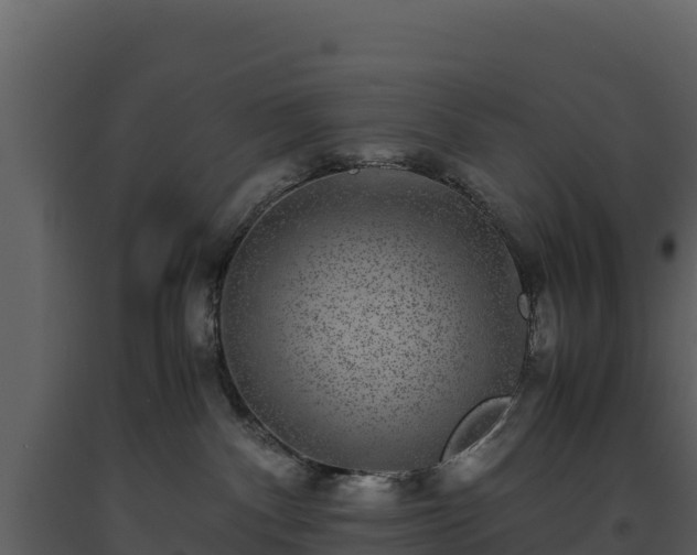 X0000093460140200710191131