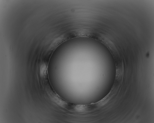 X0000093460142200710191131