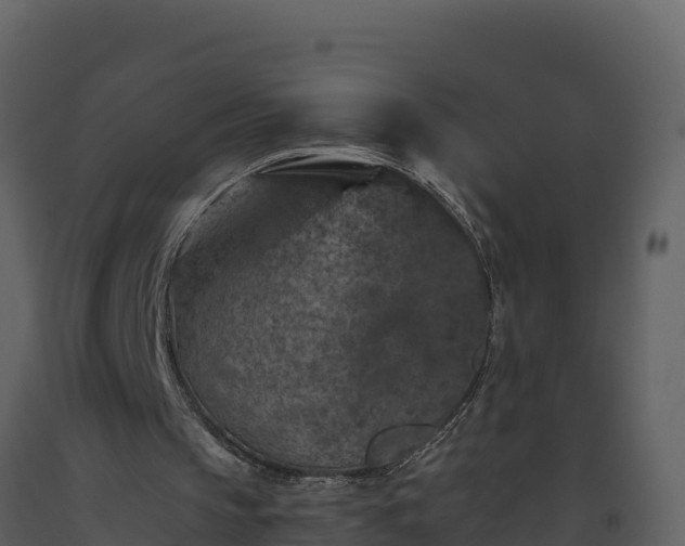 X0000093460145200710191131