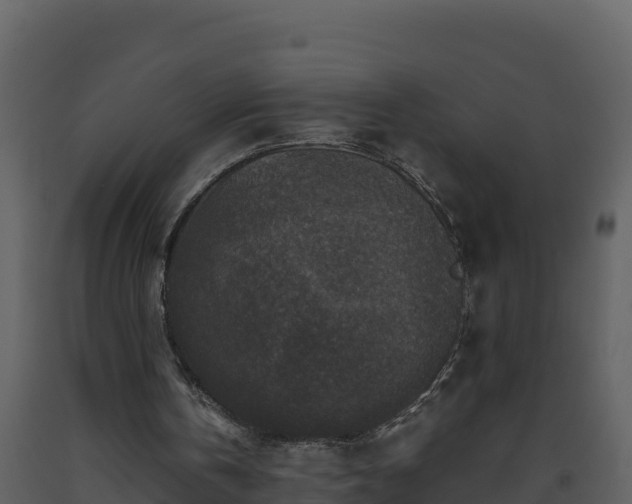 X0000093460146200710191131