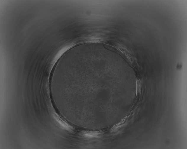 X0000093460147200710191131