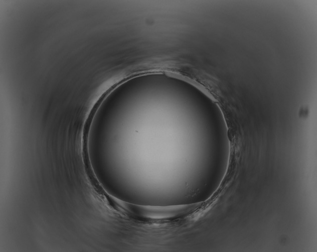 X0000093460148200710191131