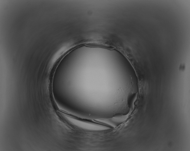 X0000093460150200710191131