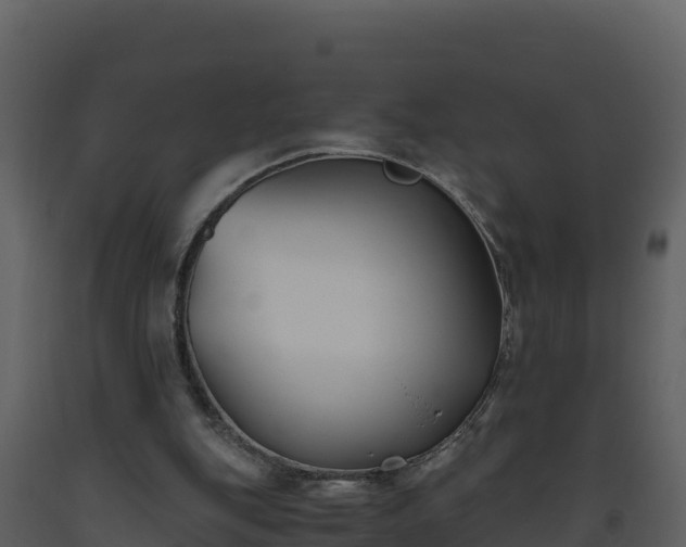 X0000093460151200710191131