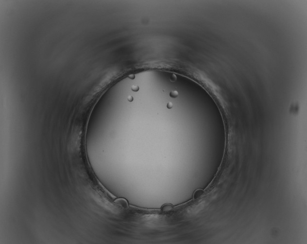 X0000093460153200710191131