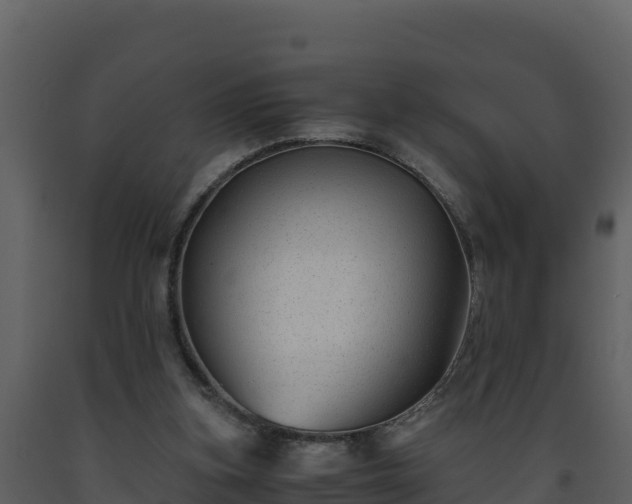 X0000093460155200710191131