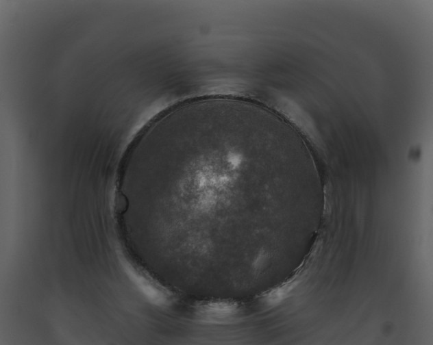 X0000093460156200710191131