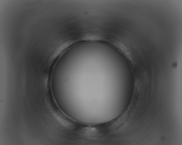 X0000093460159200710191131