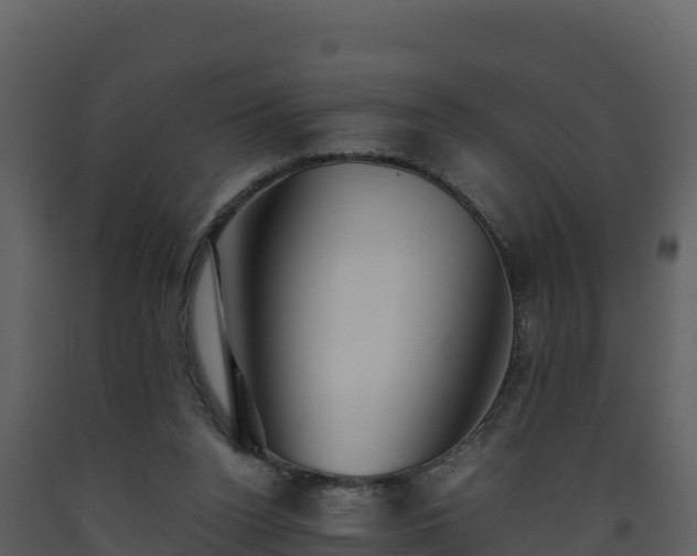 X0000093460160200710191131