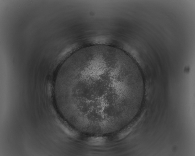 X0000093460161200710191131