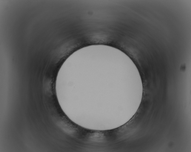 X0000093460162200710191131