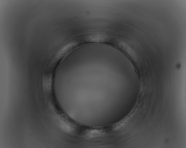 X0000093460163200710191131