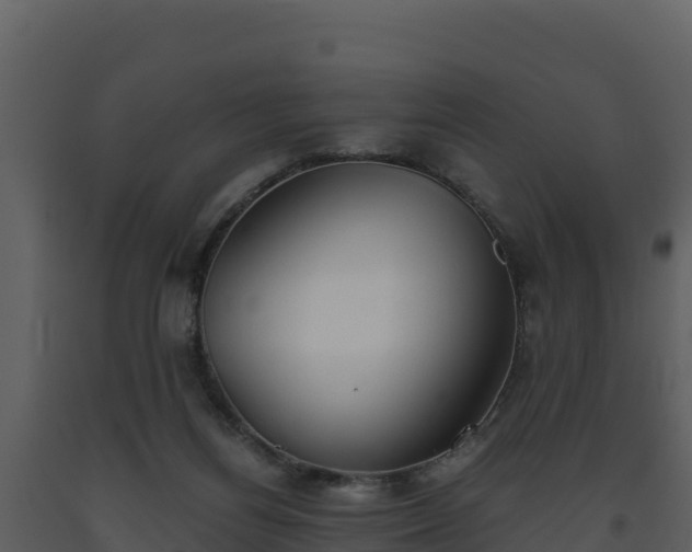 X0000093460164200710191131