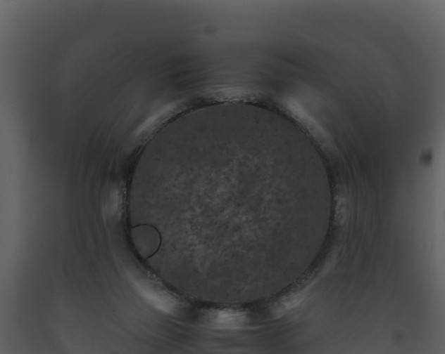 X0000093460165200710191131