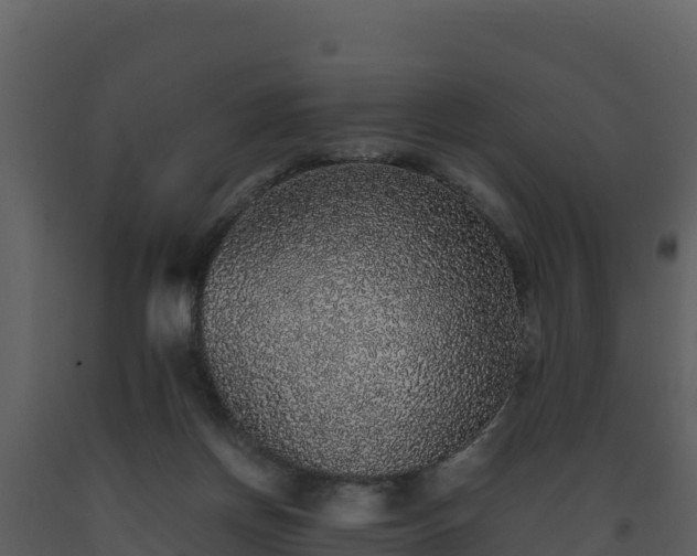 X0000093460166200710191131