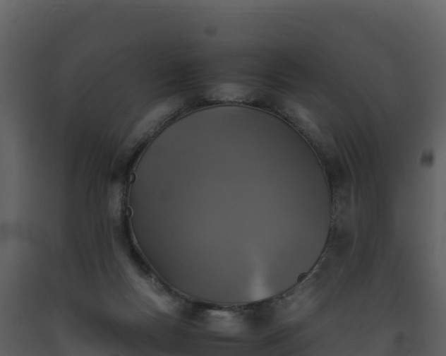 X0000093460167200710191131