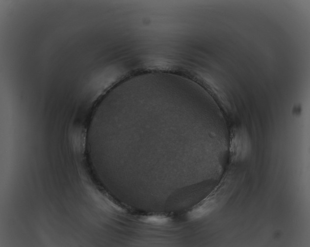 X0000093460168200710191131