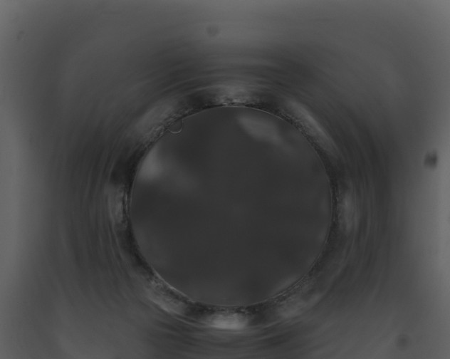 X0000093460169200710191131