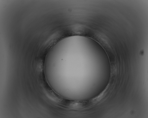 X0000093460174200710191131