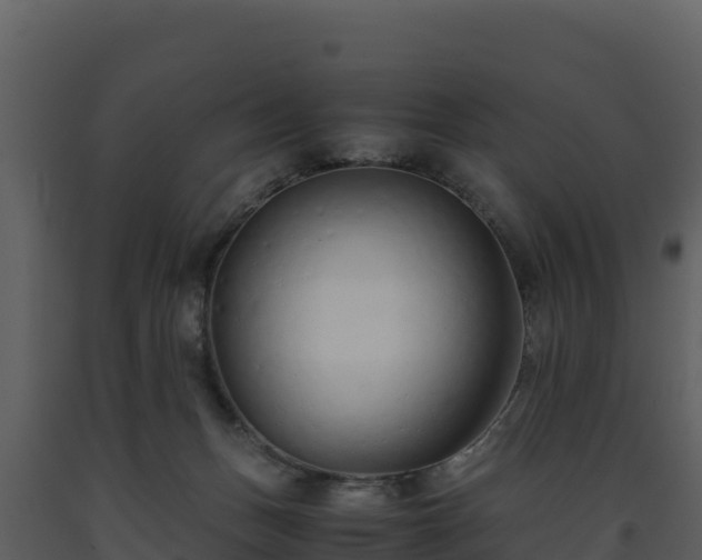 X0000093460175200710191131