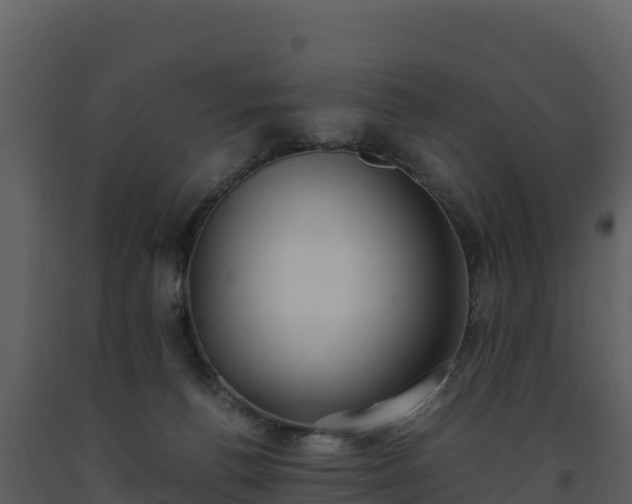 X0000093460176200710191131