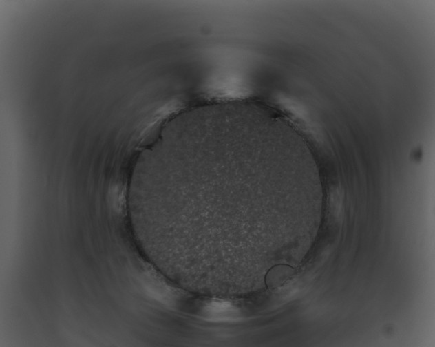 X0000093460177200710191131