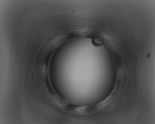 X0000093460178200710191131