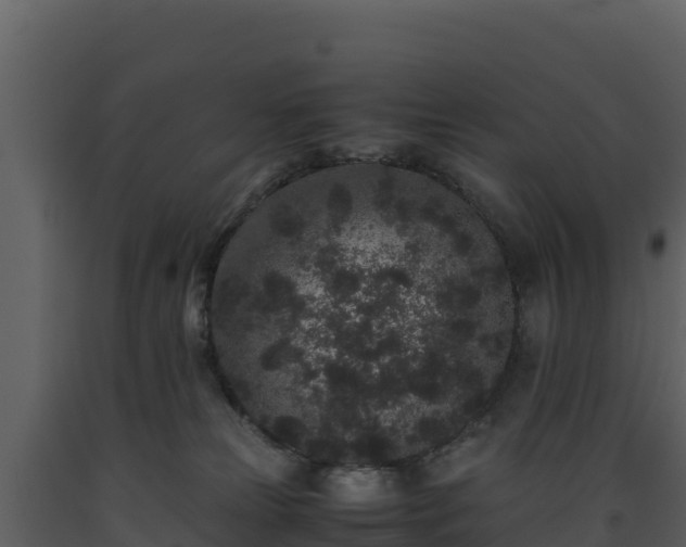 X0000093460181200710191131