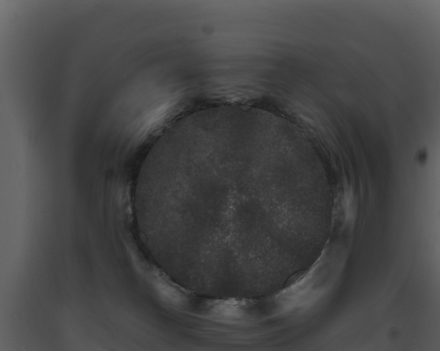 X0000093460182200710191131