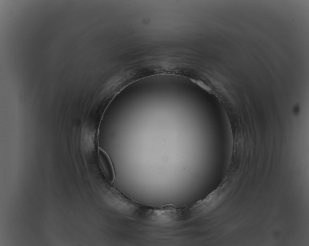 X0000093460188200710191131