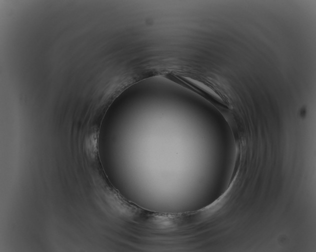 X0000093460190200710191131