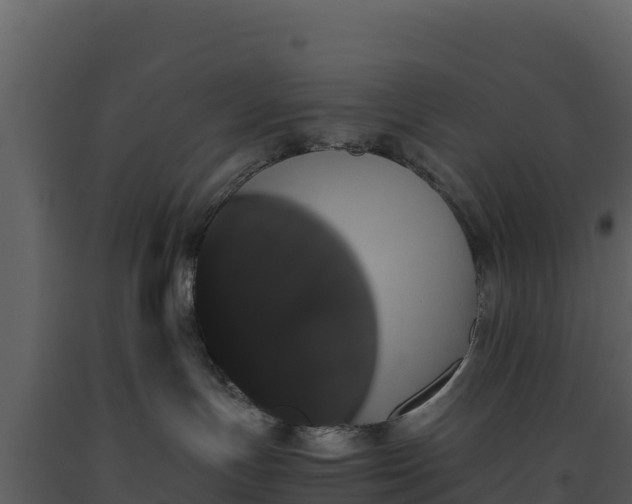 X0000093460191200710191131