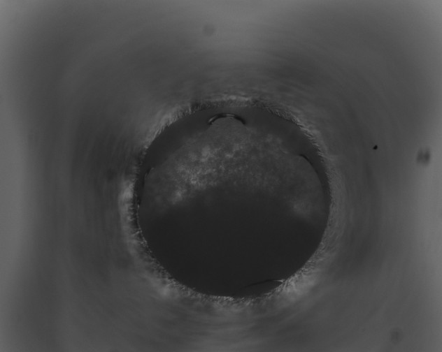 X0000093460192200710191131