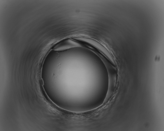 X0000093460193200710191131