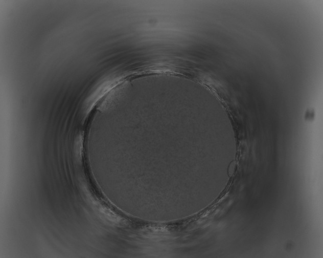 X0000093460194200710191131