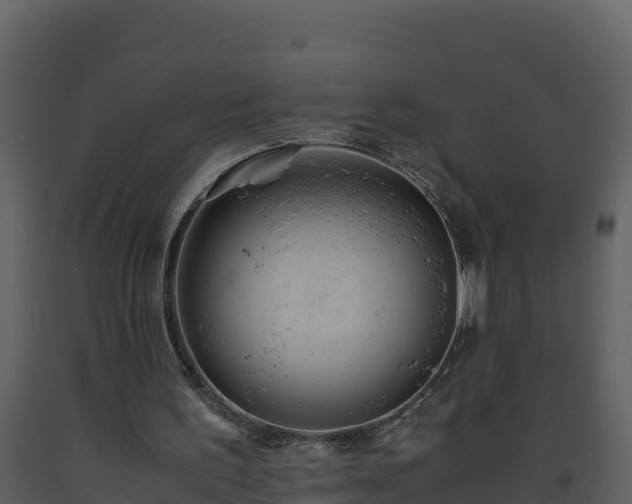 X0000093460195200710191131