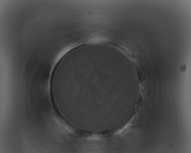 X0000093460196200710191131