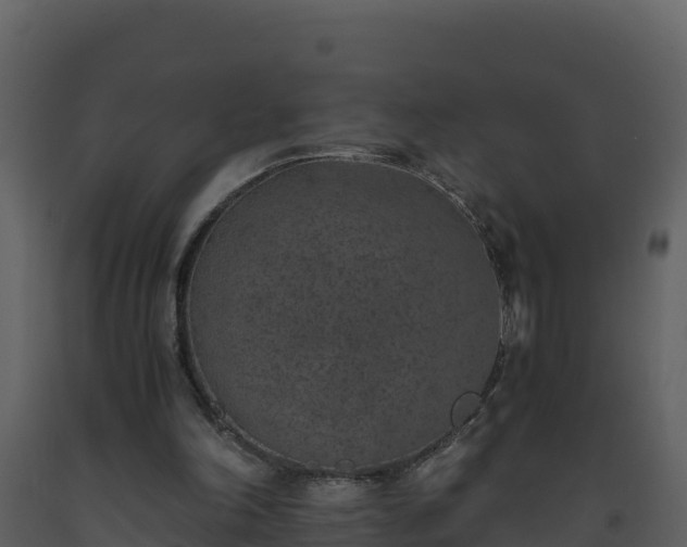 X0000093460198200710191131