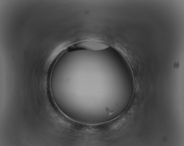 X0000093460199200710191131