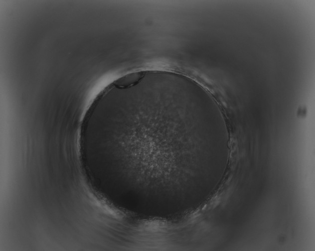 X0000093460200200710191131